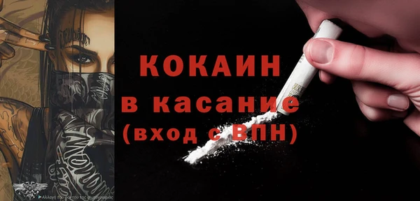 apvp Алзамай