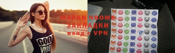 apvp Алзамай