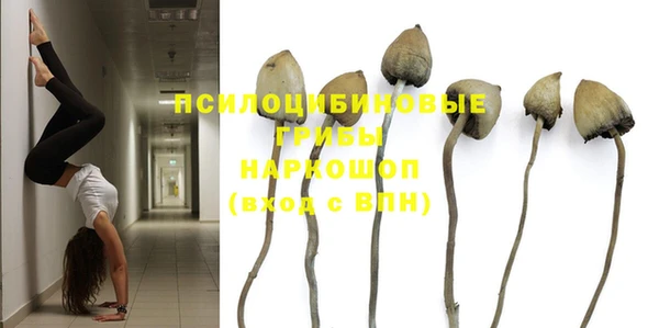 мяу мяу мука Алексин