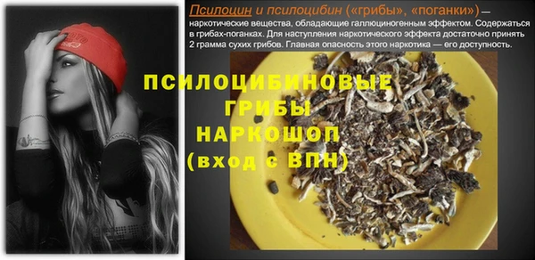apvp Алзамай